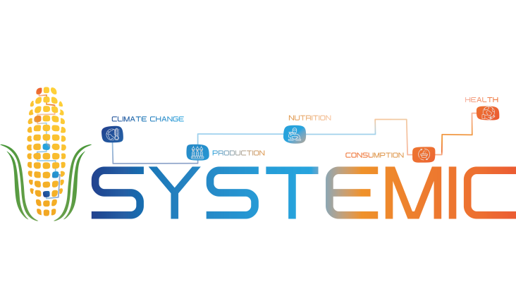 SYSTEMIC logo