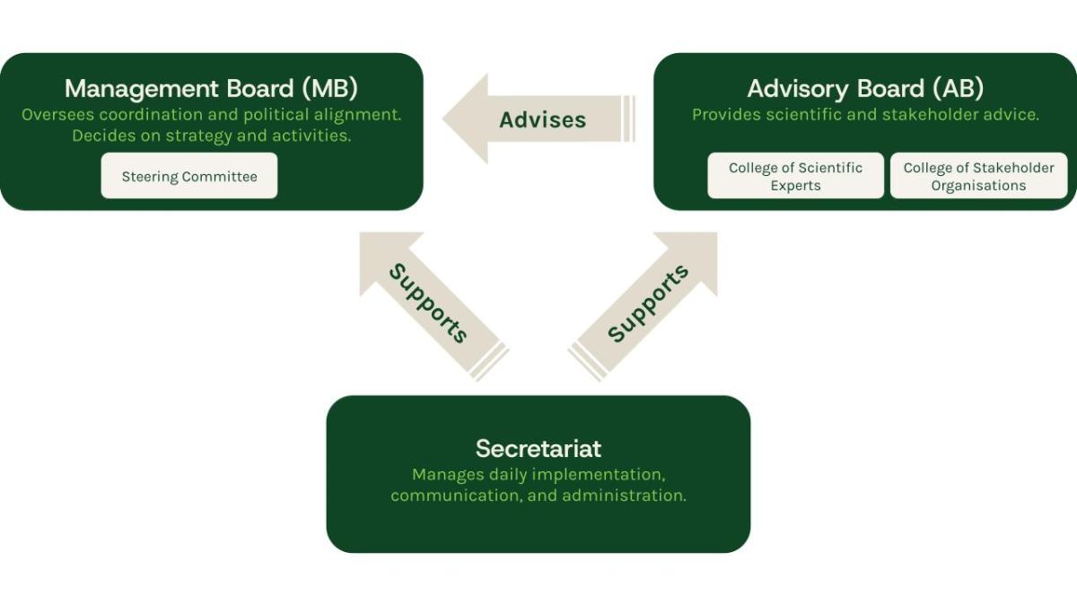 Organogram of the HDHL governance structure, showing at the top the Management Board and the Advisory Board (made up of two colleges) providing strategic guidance, with the Secretariat positioned below to support and coordinate their work.